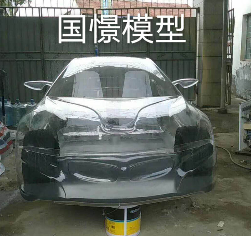 合阳县透明车模型